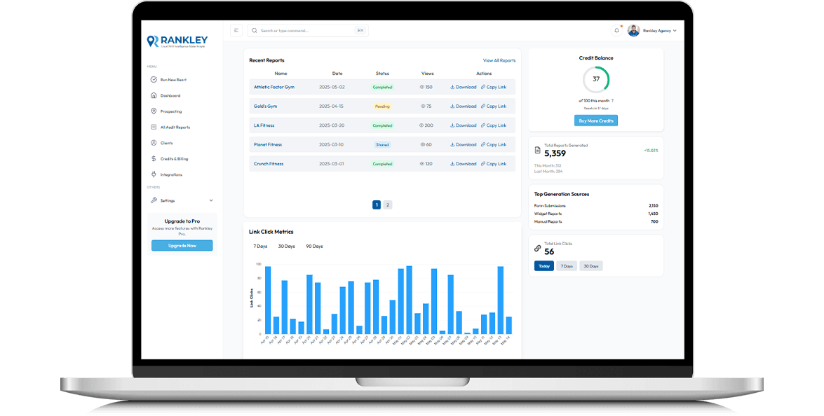 Rankley reporting dashboard