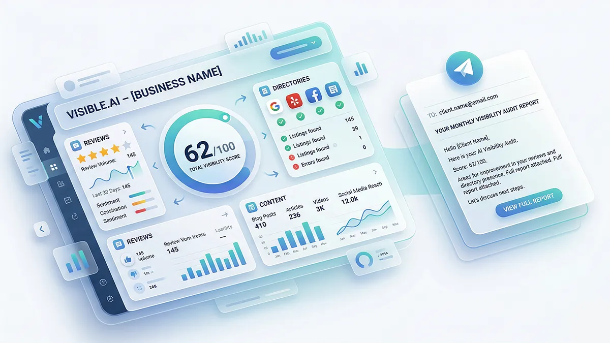 AI visibility audit prospecting example
